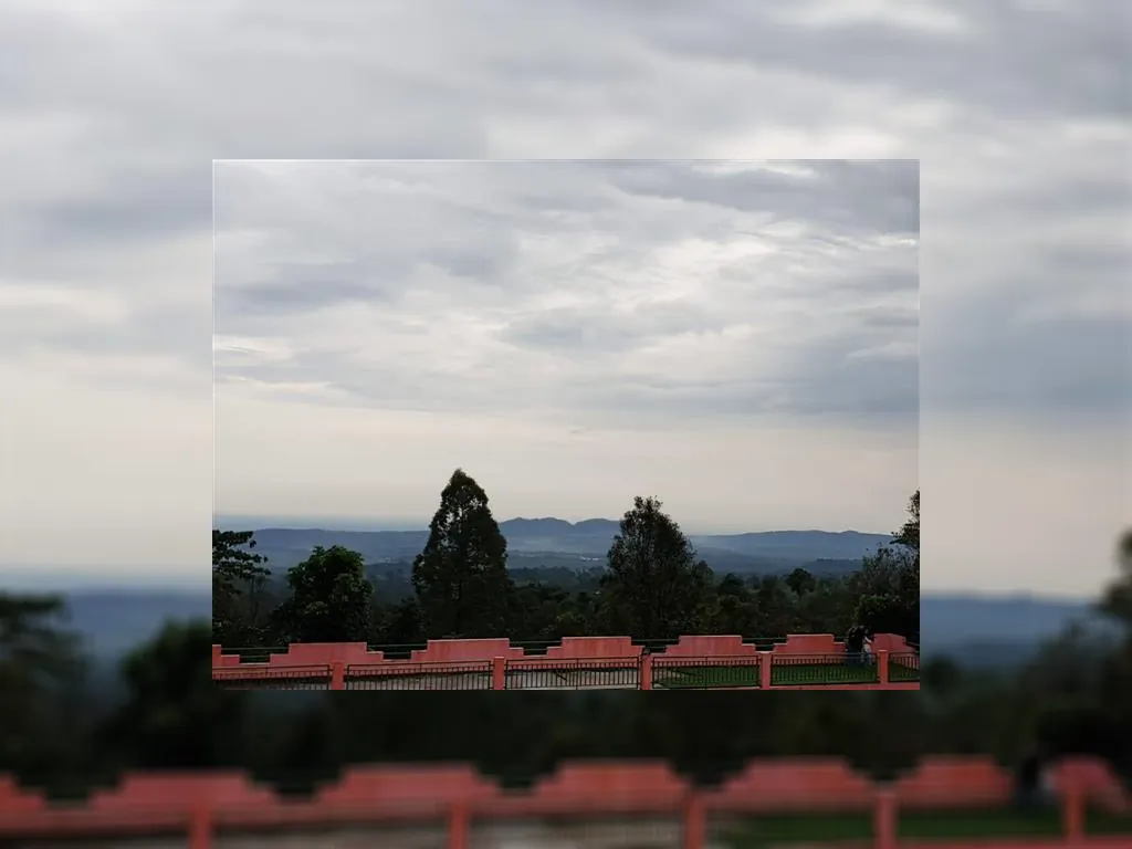 WhatsApp Image 2022-12-17 at 1.52.56 PM.jpg